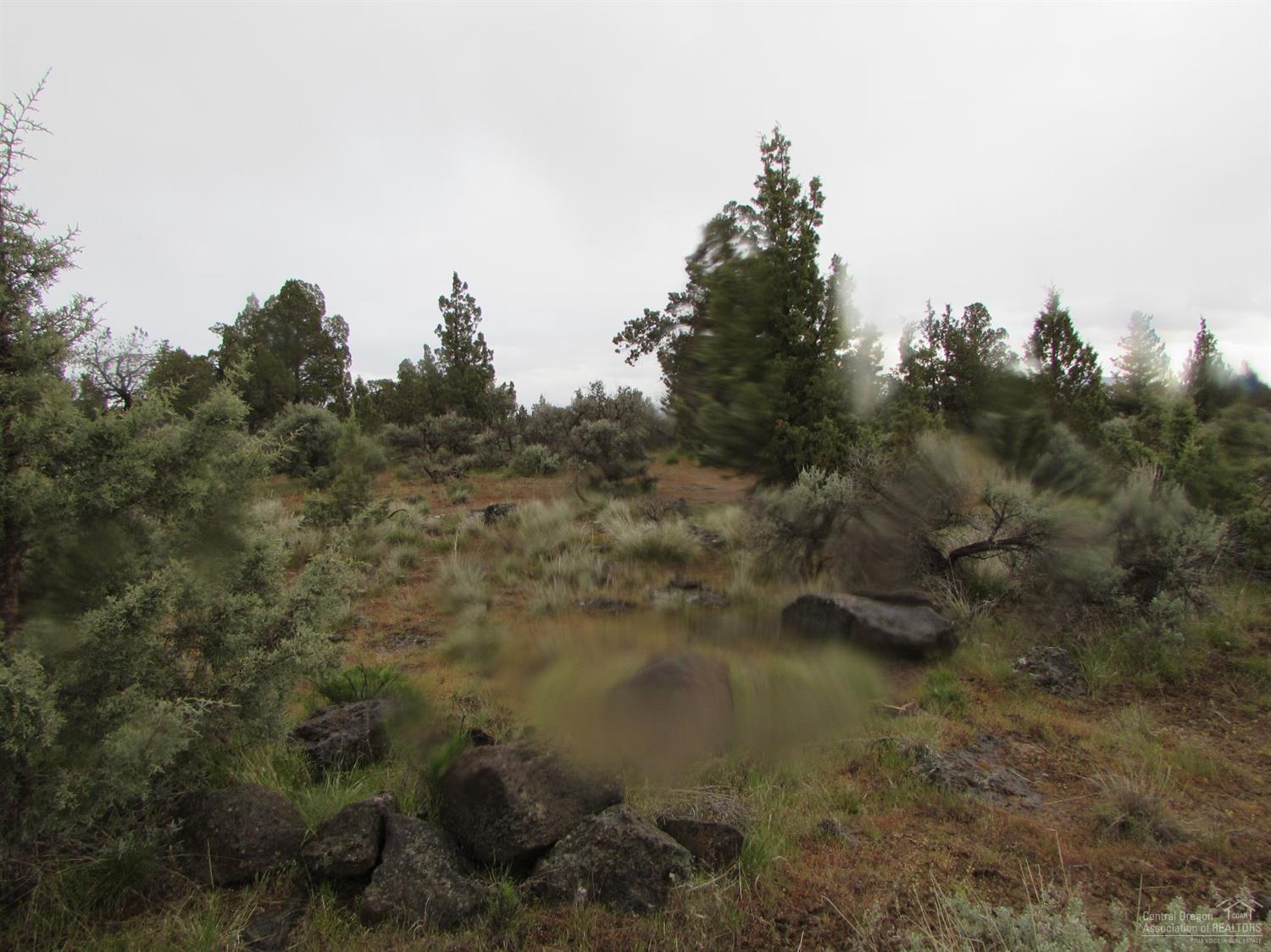 0 Southwest Twin Lakes Ranch Road Powell Butte, OR 97753 - Photo 5 of 6 Additional Photo