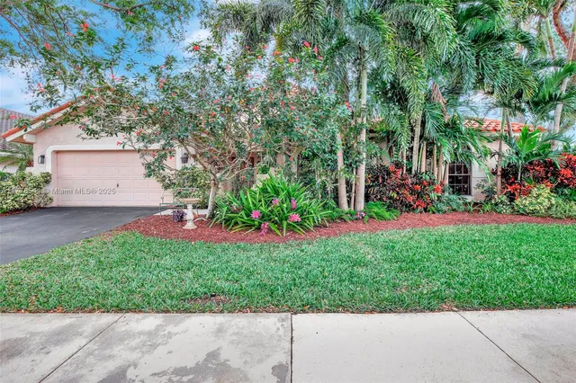 a view of a potted flower in a yard with swimming pool