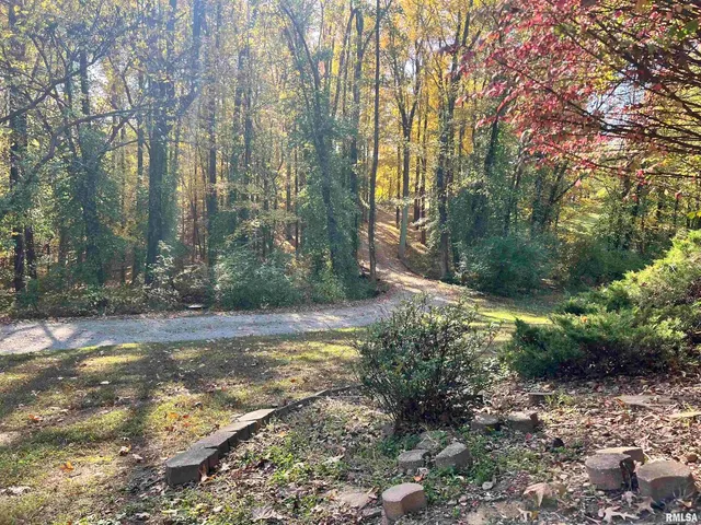 a view of a yard with plants and trees