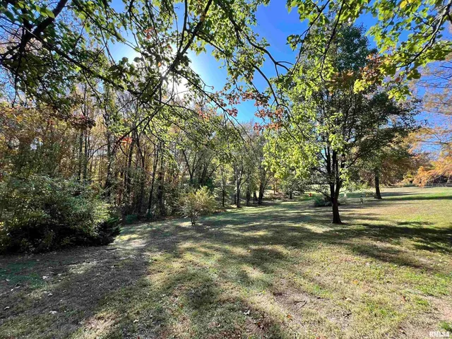 a big yard with trees