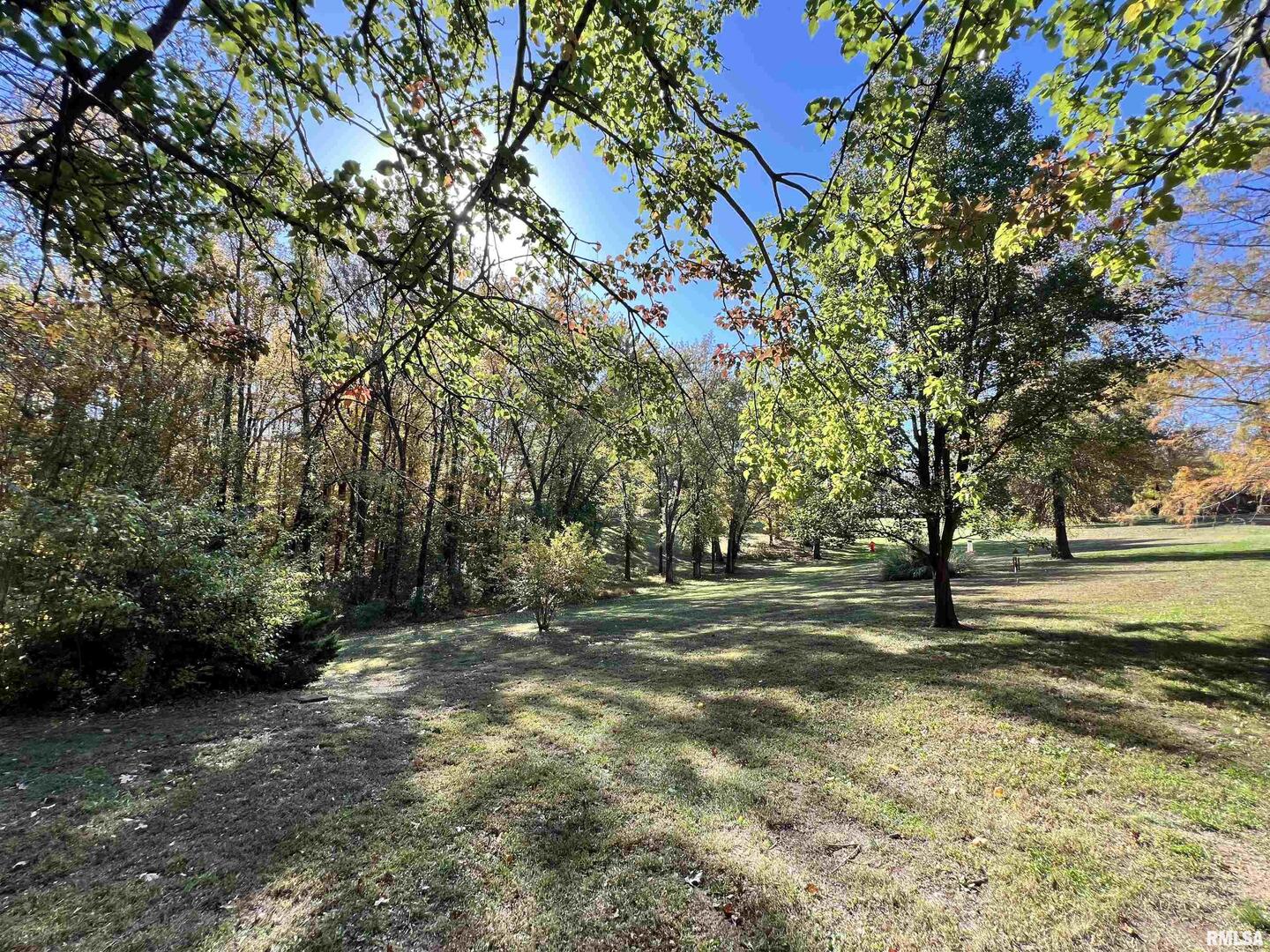 2372 Logan Street Murphysboro, IL 62966 - Photo 3 of 41