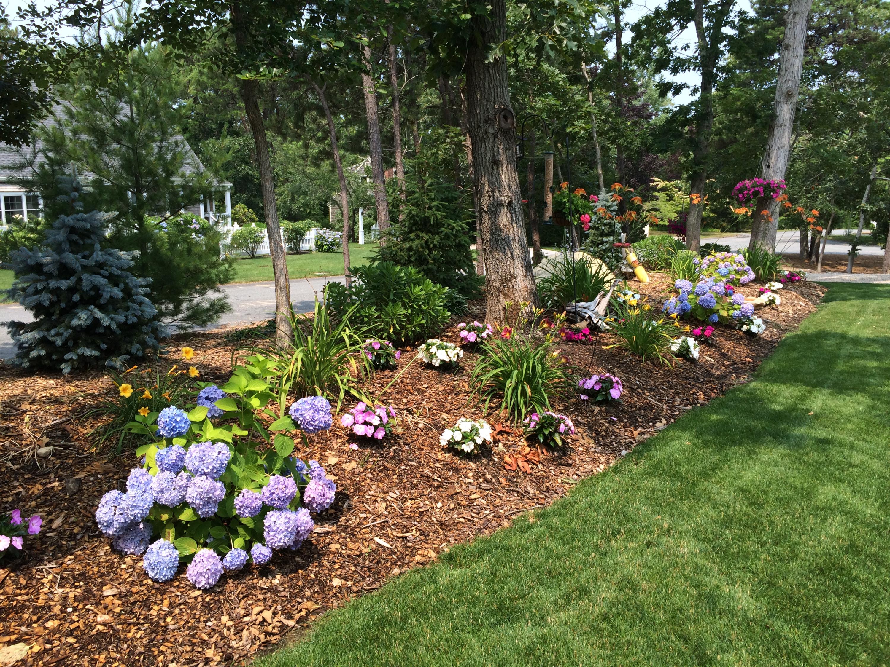 Front Bed