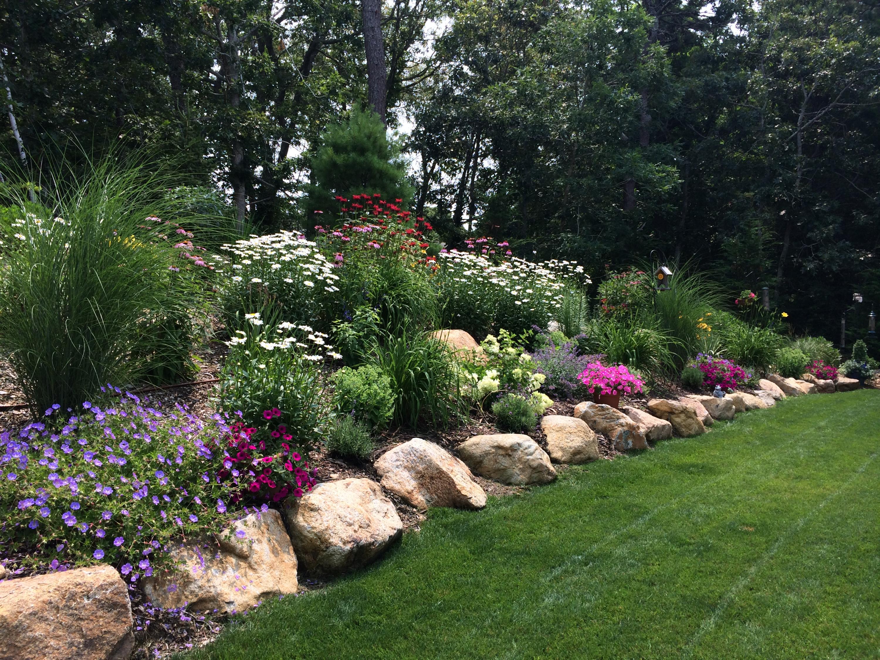 Back Yard Bed