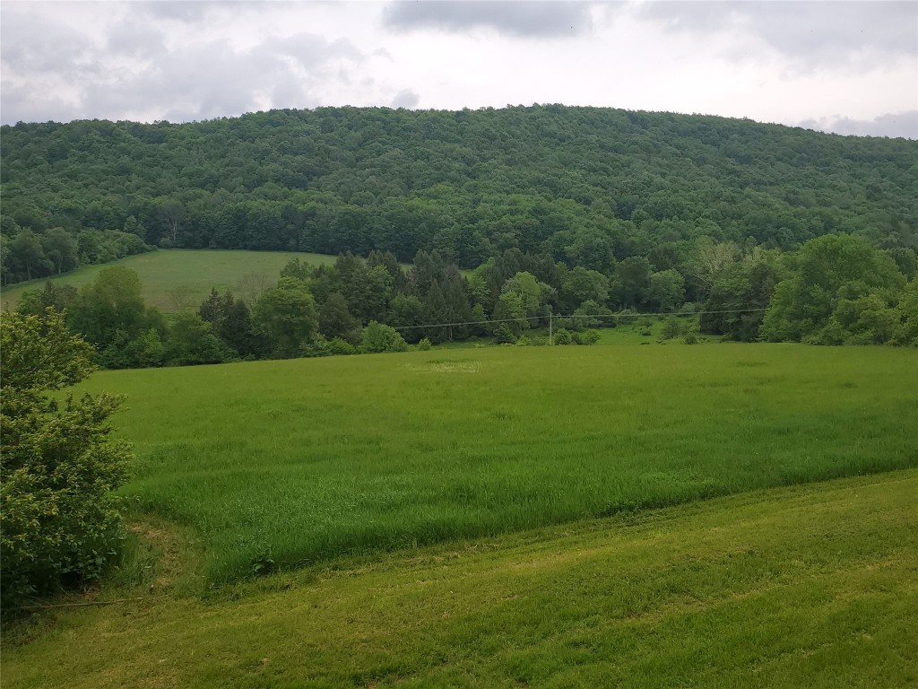 914 Mitchell Road Montrose, PA 18801 - Photo 9 of 23