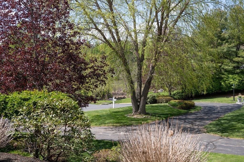 4 Elliston Road Weston, MA 02493 - Photo 39 of 42