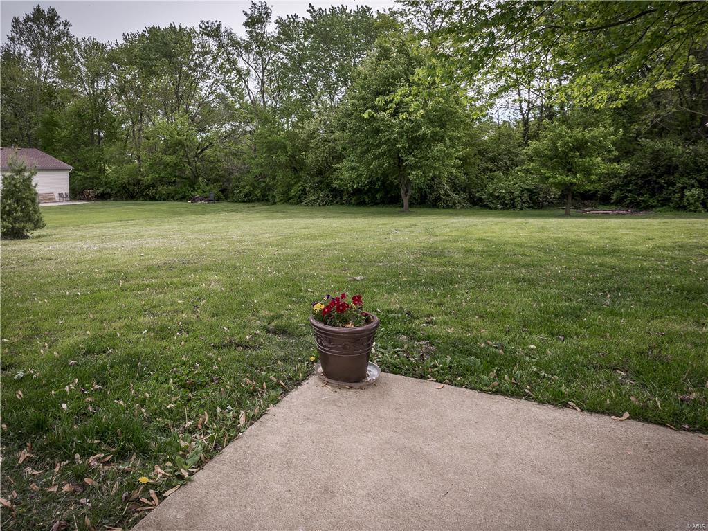 1828 Marine Road St. Jacob, IL 62281 - Photo 10 of 43