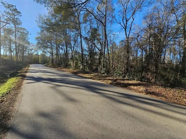 $79,990 | Lot 1 Sherwood Drive, Shepherd, TX 77371