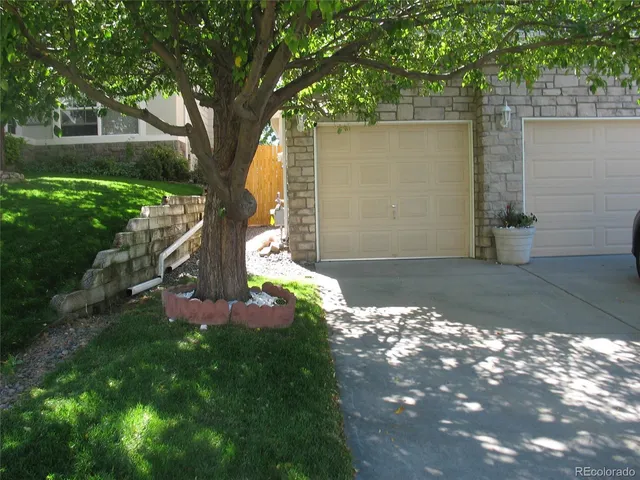 a view of a yard with plants and a large tree