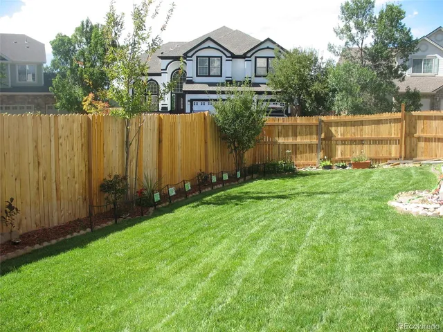 a view of a back yard