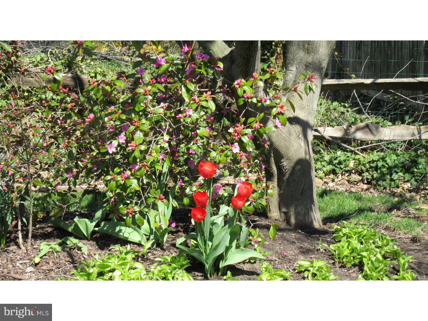 531 Concord Road Warminster, PA 18974 - Photo 21 of 21 Garden