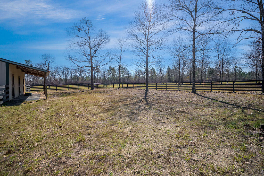 411 Bluffwood Road Wagener, SC 29164 - Photo 15 of 23