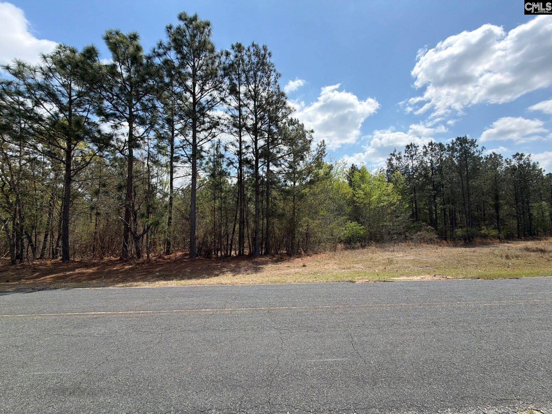 2 Mt Calvary Rd Ridge Spring, Unit CA 2 Ridge Spring, SC 29129 - Photo 5 of 29