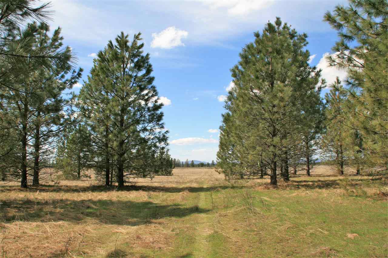 Lot 7 North Bruce Road Chattaroy, WA 99003 - Photo 5 of 7 Gallery Image 5