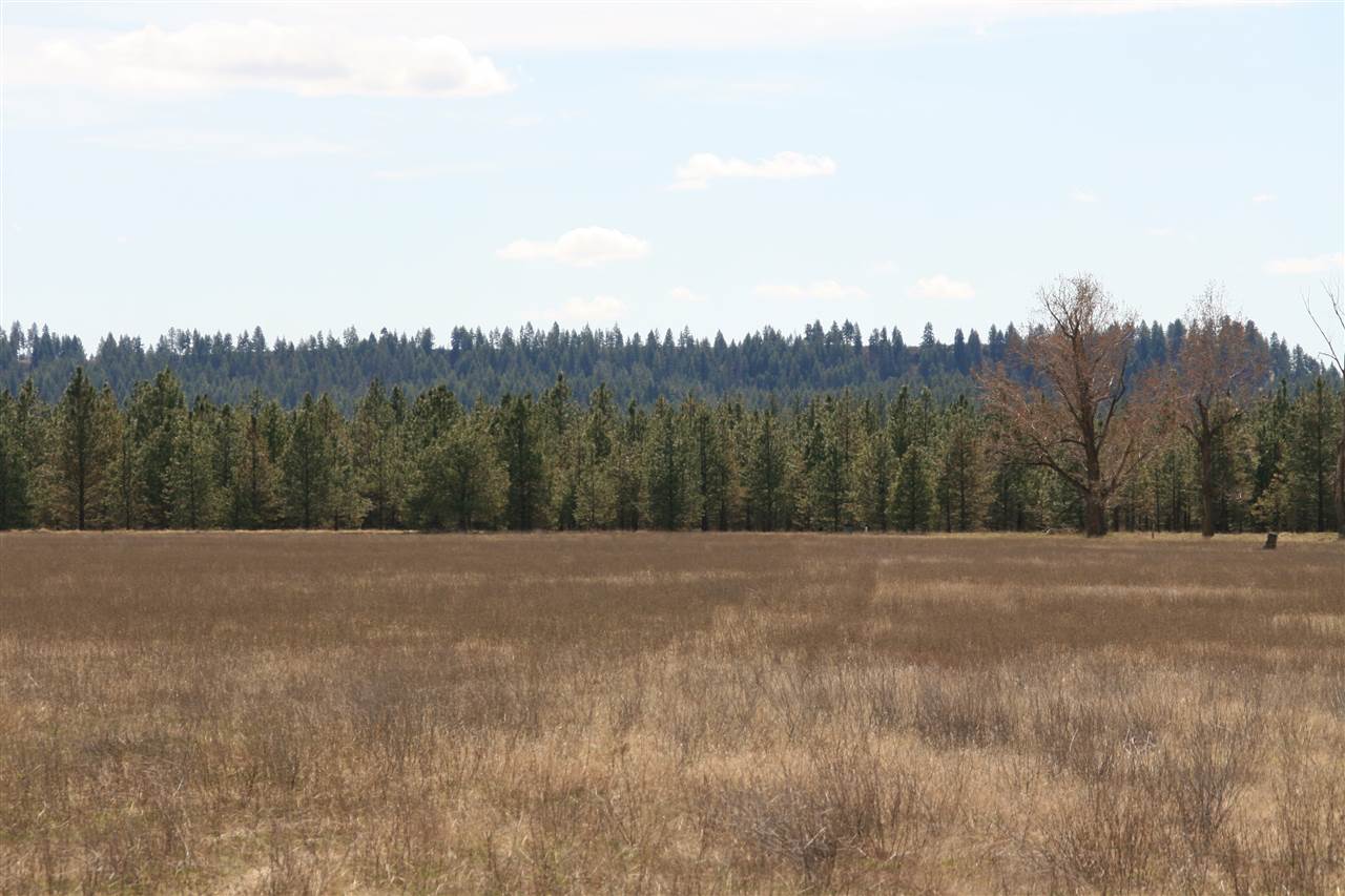 Lot 7 North Bruce Road Chattaroy, WA 99003 - Photo 6 of 7 Gallery Image 6