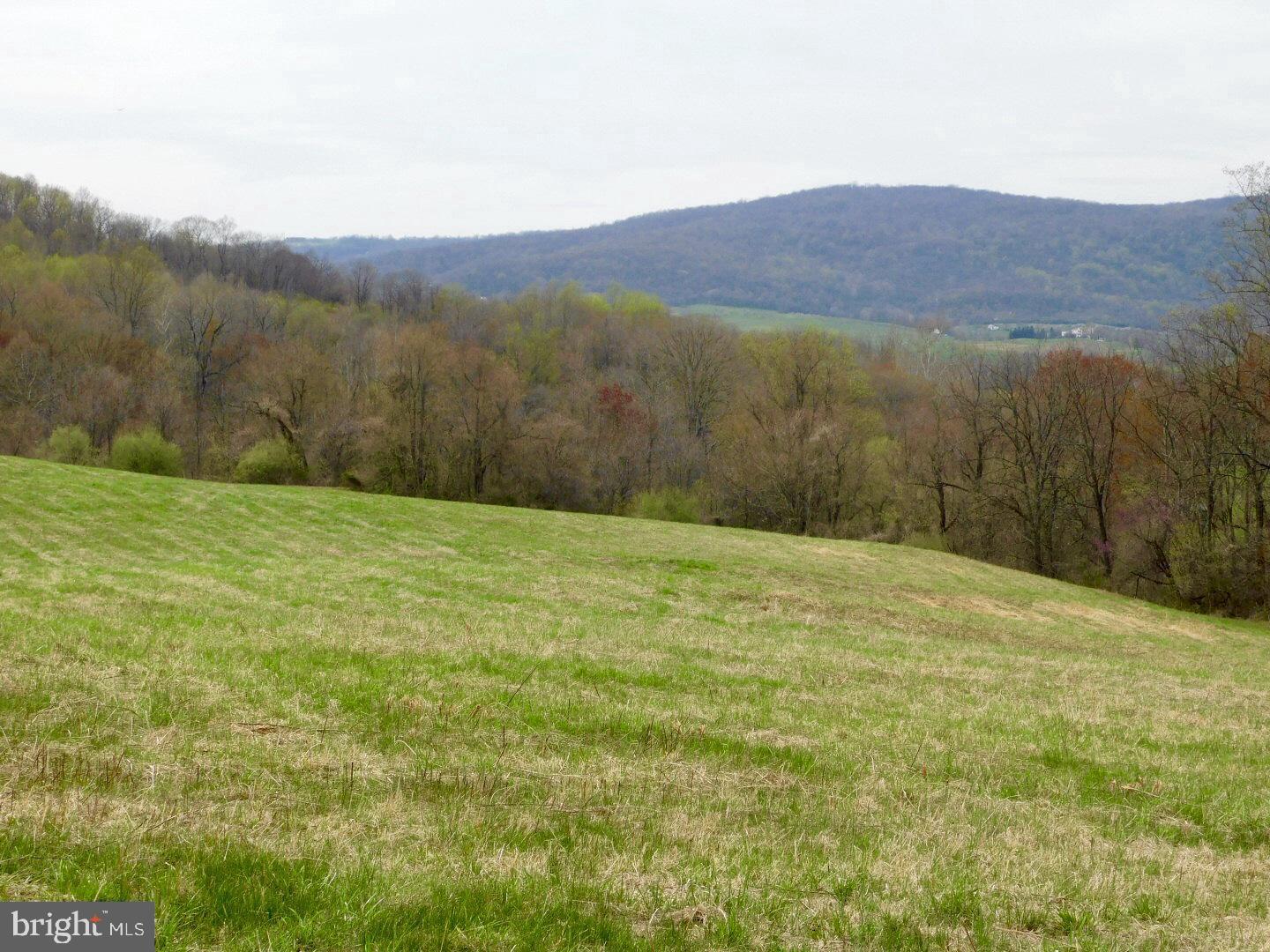Sage Road Delaplane, VA 20144 - Photo 2 of 4 Gallery Image 2