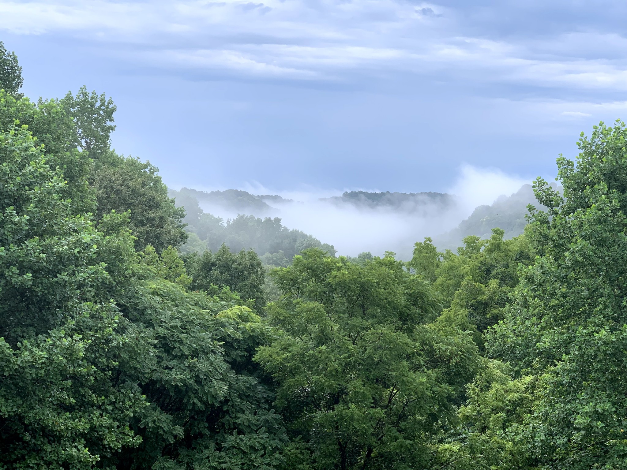 855 Drury Ridge Road Lafayette, TN 37083 - Photo 36 of 46 Gallery Image 36
