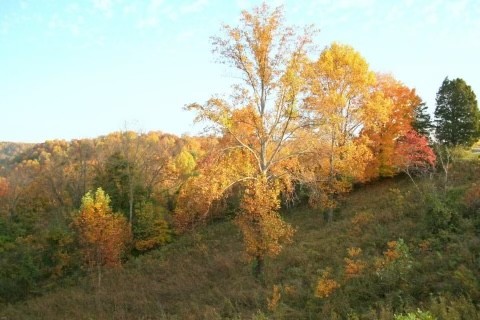 855 Drury Ridge Road Lafayette, TN 37083 - Photo 37 of 46 Gallery Image 37