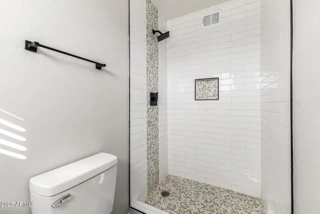 a bathroom with a shower and a toilet