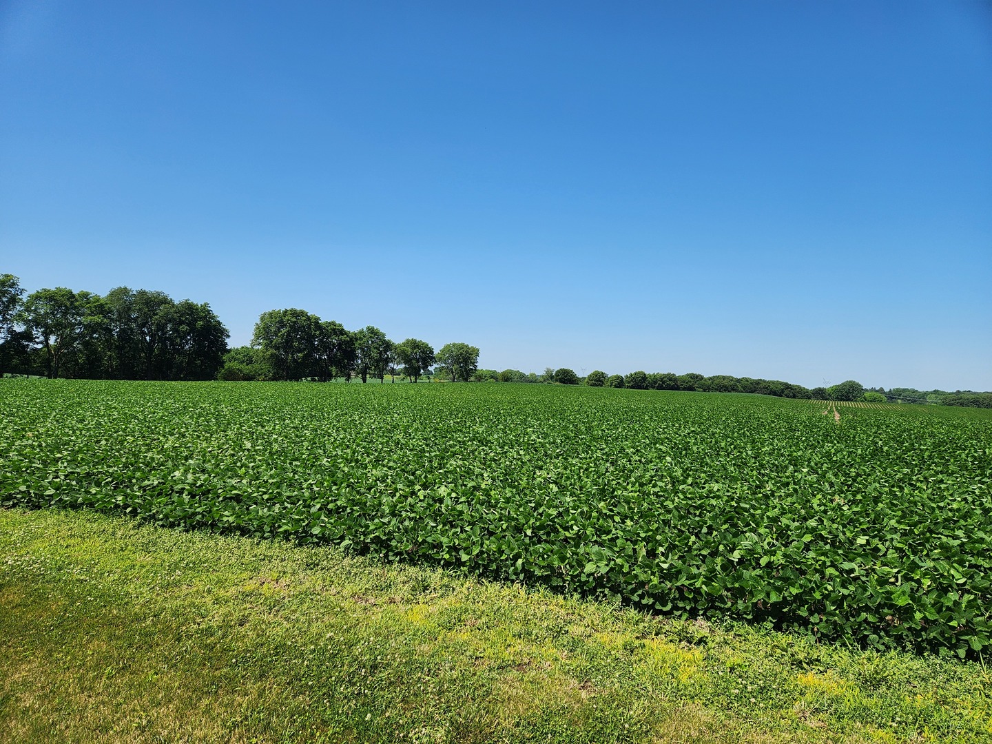 1841 Robbins Road Franklin Grove, IL 61031 - Photo 2 of 4 a view of a garden with a lake