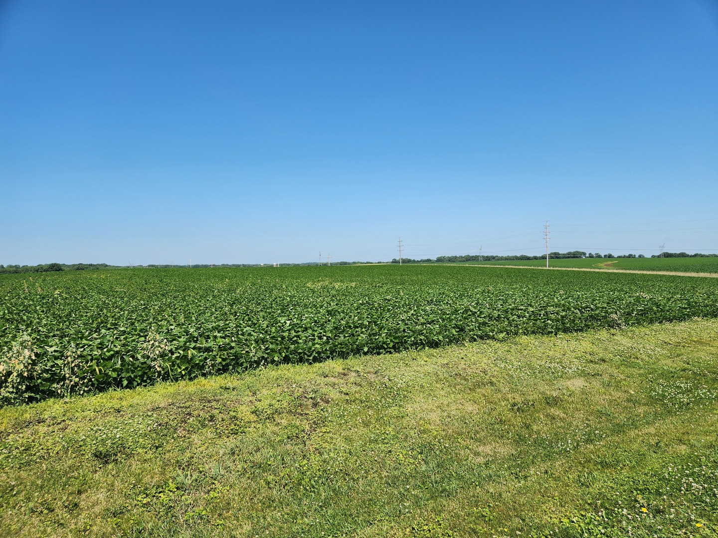 1841 Robbins Road Franklin Grove, IL 61031 - Photo 3 of 4 a view of a field with an ocean