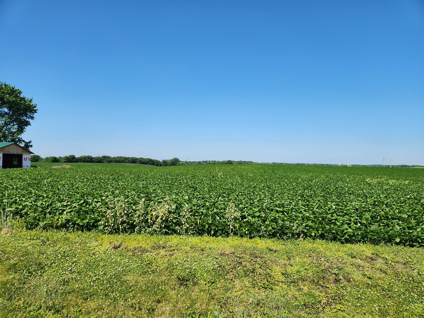 1841 Robbins Road Franklin Grove, IL 61031 - Photo 4 of 4 a view of green field with an outdoor space