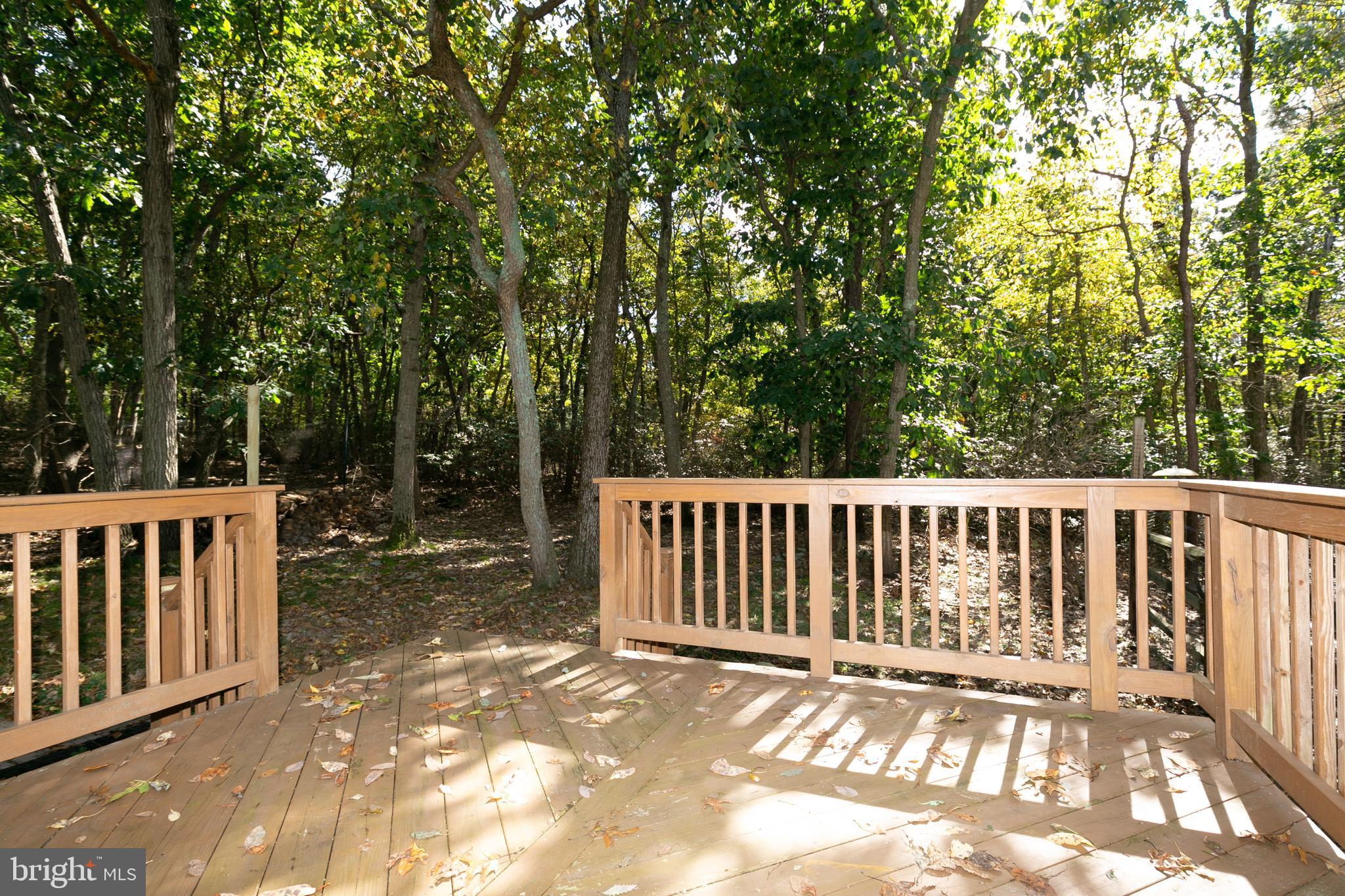 551 Fairview Road Medford, NJ 08055 - Photo 21 of 28 Deck