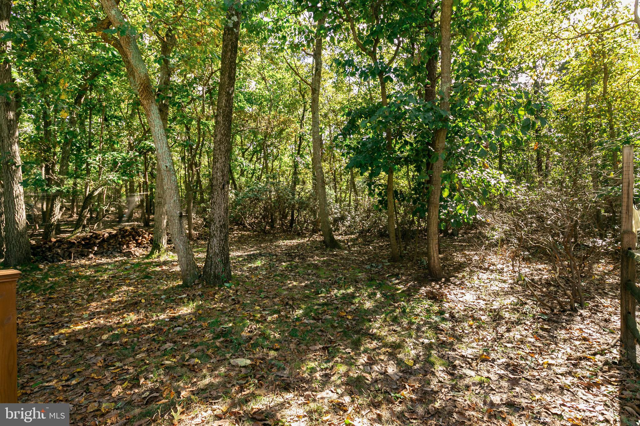 551 Fairview Road Medford, NJ 08055 - Photo 23 of 28 Yard