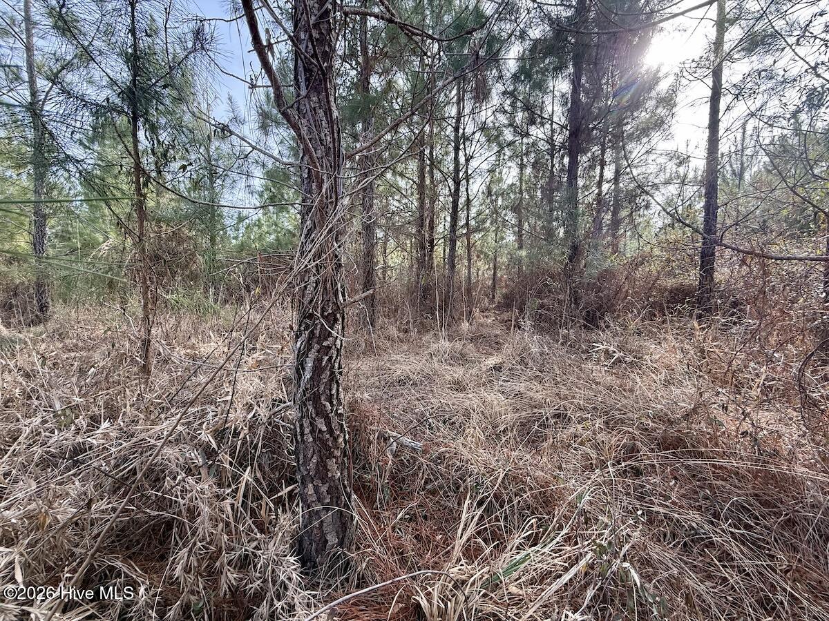 0 Old Washington Road Vanceboro, NC 28586 - Photo 11 of 34 11