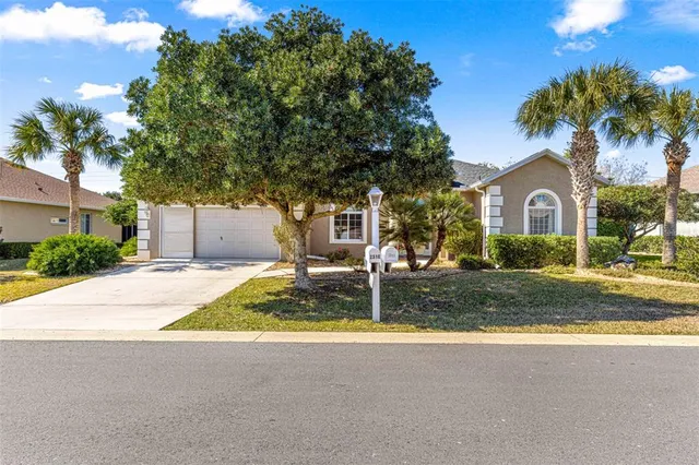 a house with palm tree in front of it