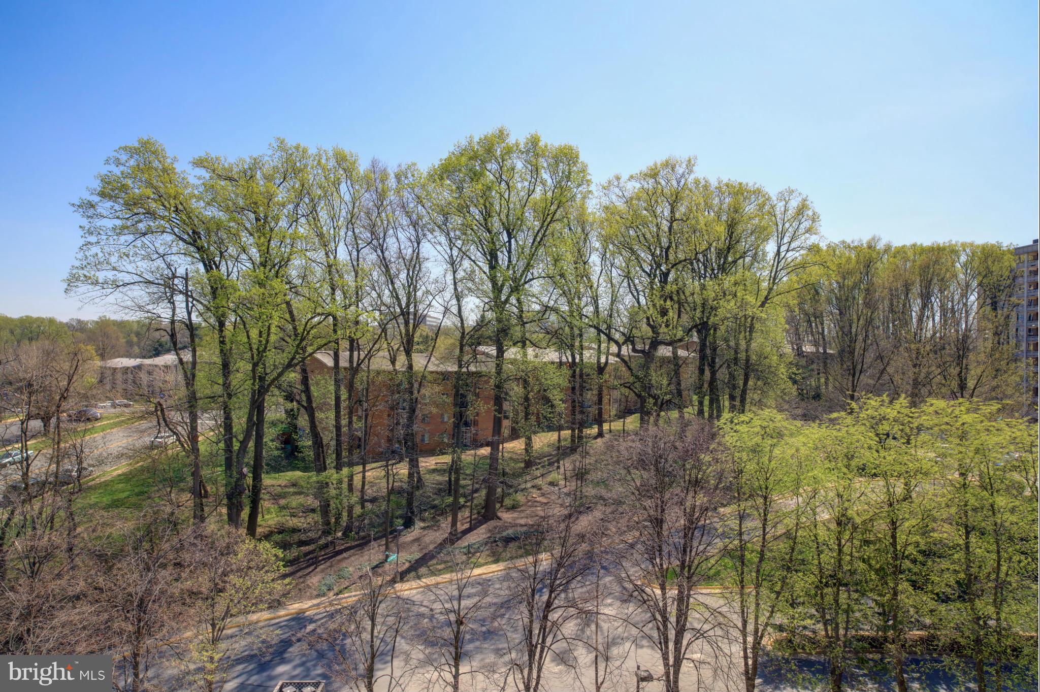 1800 Old Meadow Road, Unit 713 McLean, VA 22102 - Photo 12 of 27 a view of a forest with a tree in the background