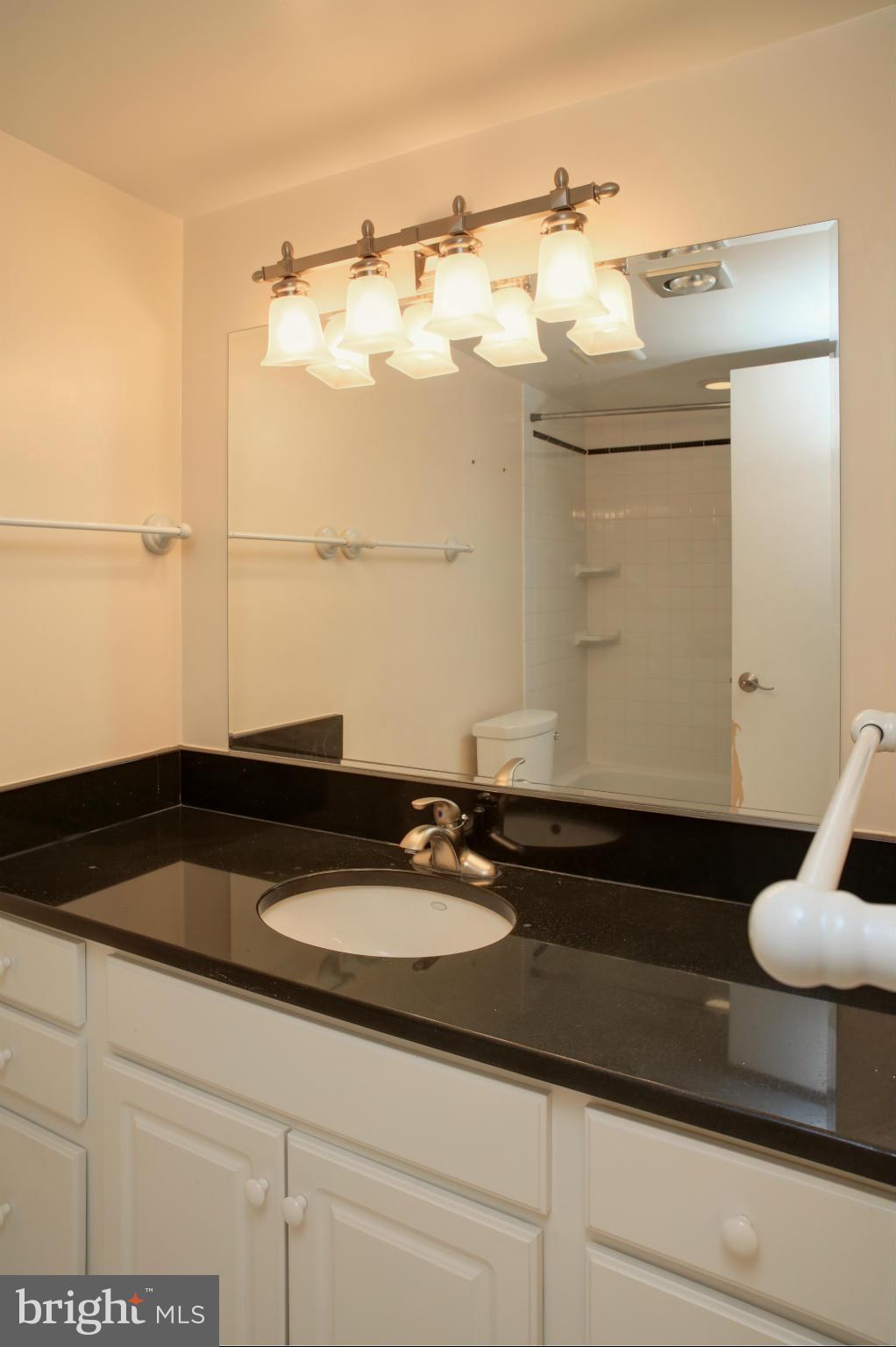1800 Old Meadow Road, Unit 713 McLean, VA 22102 - Photo 20 of 27 a bathroom with a sink and a mirror