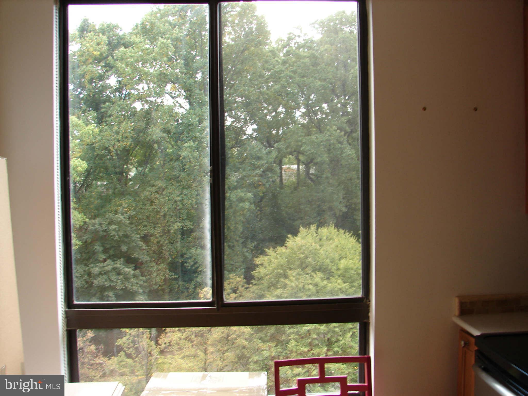 1800 Old Meadow Road, Unit 713 McLean, VA 22102 - Photo 5 of 27