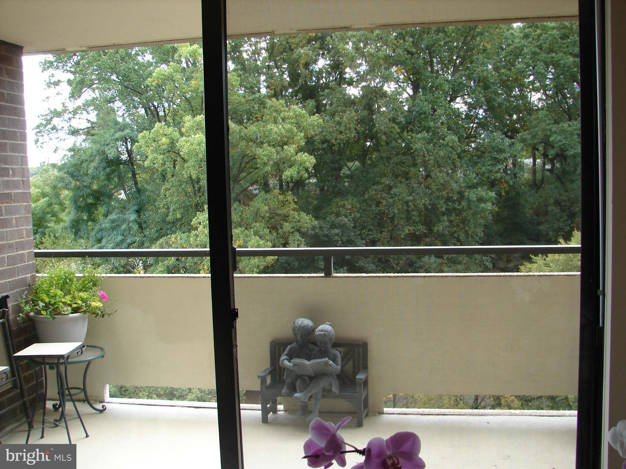 1800 Old Meadow Road, Unit 713 McLean, VA 22102 - Photo 10 of 27 a view of a balcony with chair