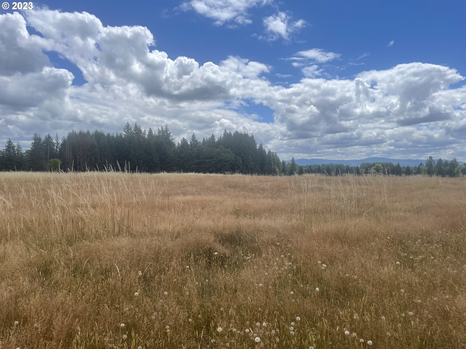 Allgeier Sandy, OR 97055 - Photo 11 of 15