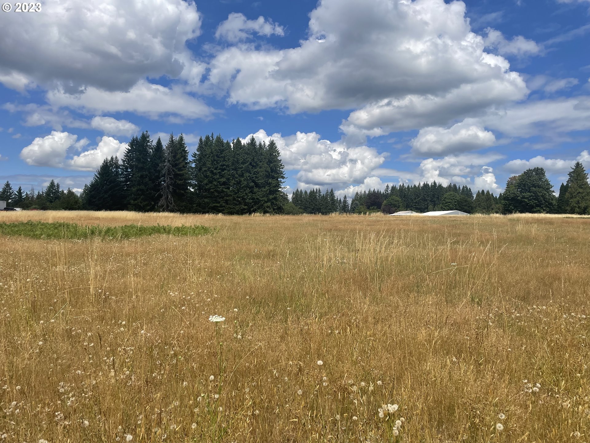 Allgeier Sandy, OR 97055 - Photo 12 of 15