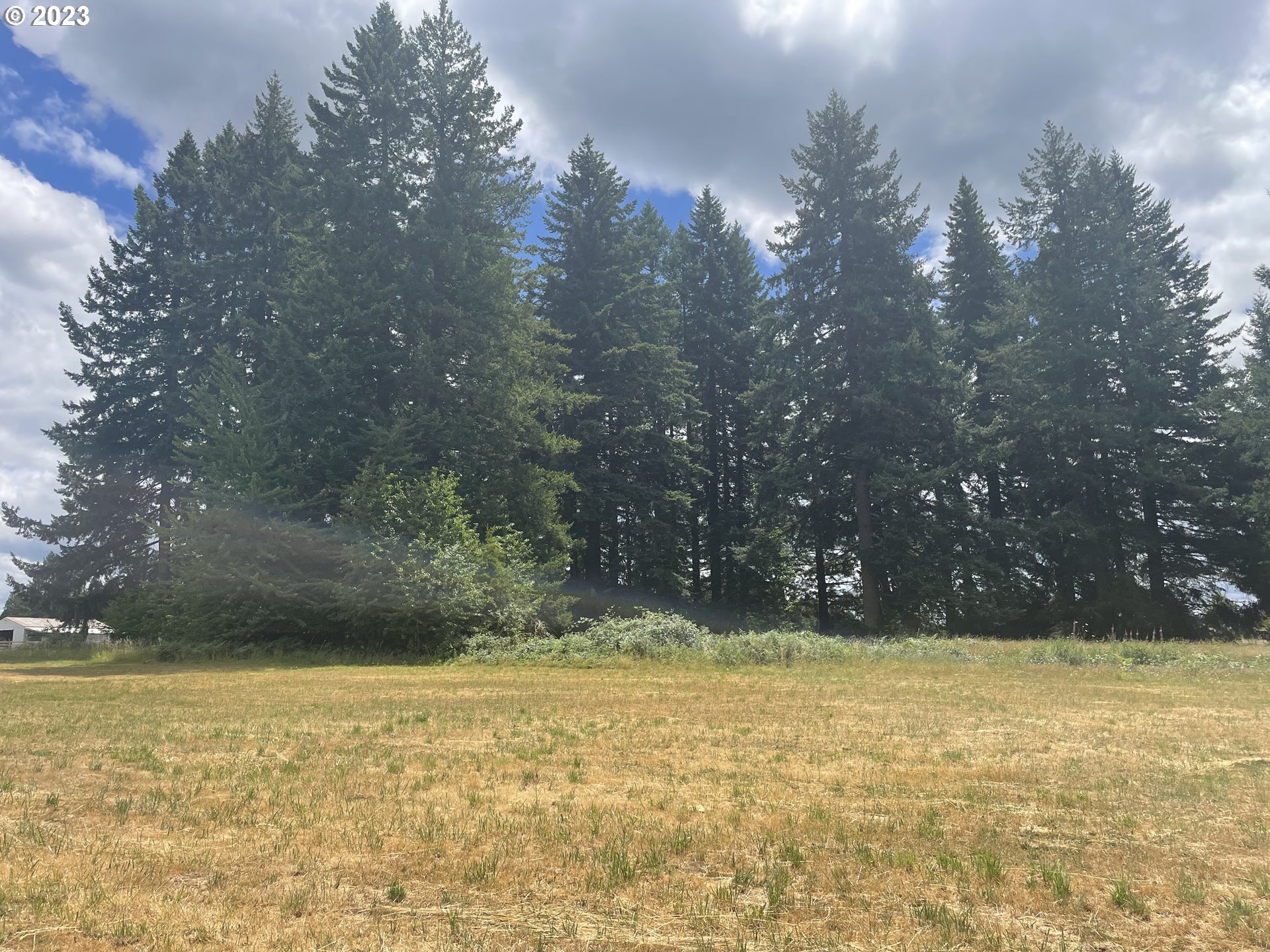 Allgeier Sandy, OR 97055 - Photo 3 of 15 a view of swimming pool of the yard