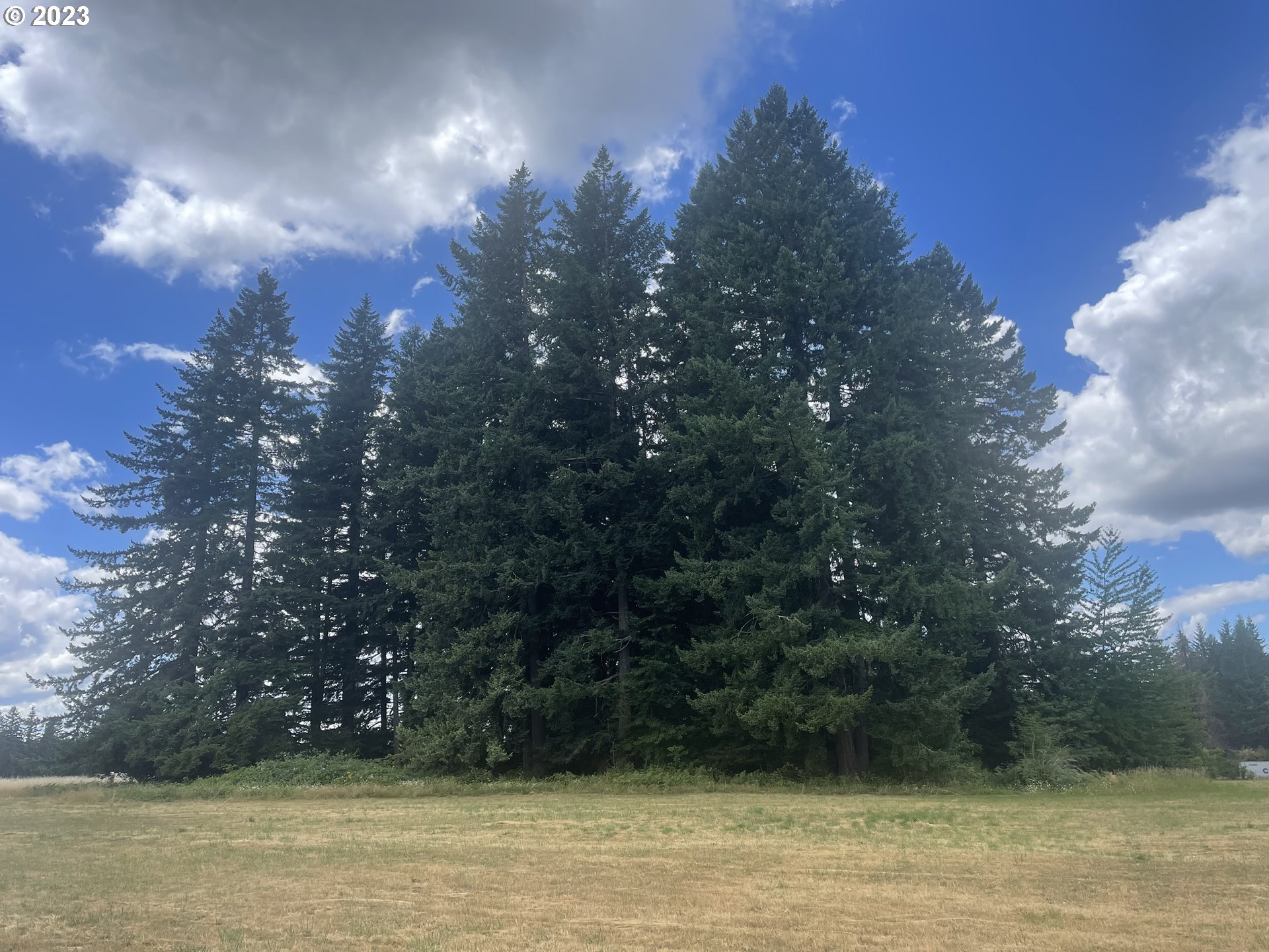 Allgeier Sandy, OR 97055 - Photo 4 of 15 a view of a lake