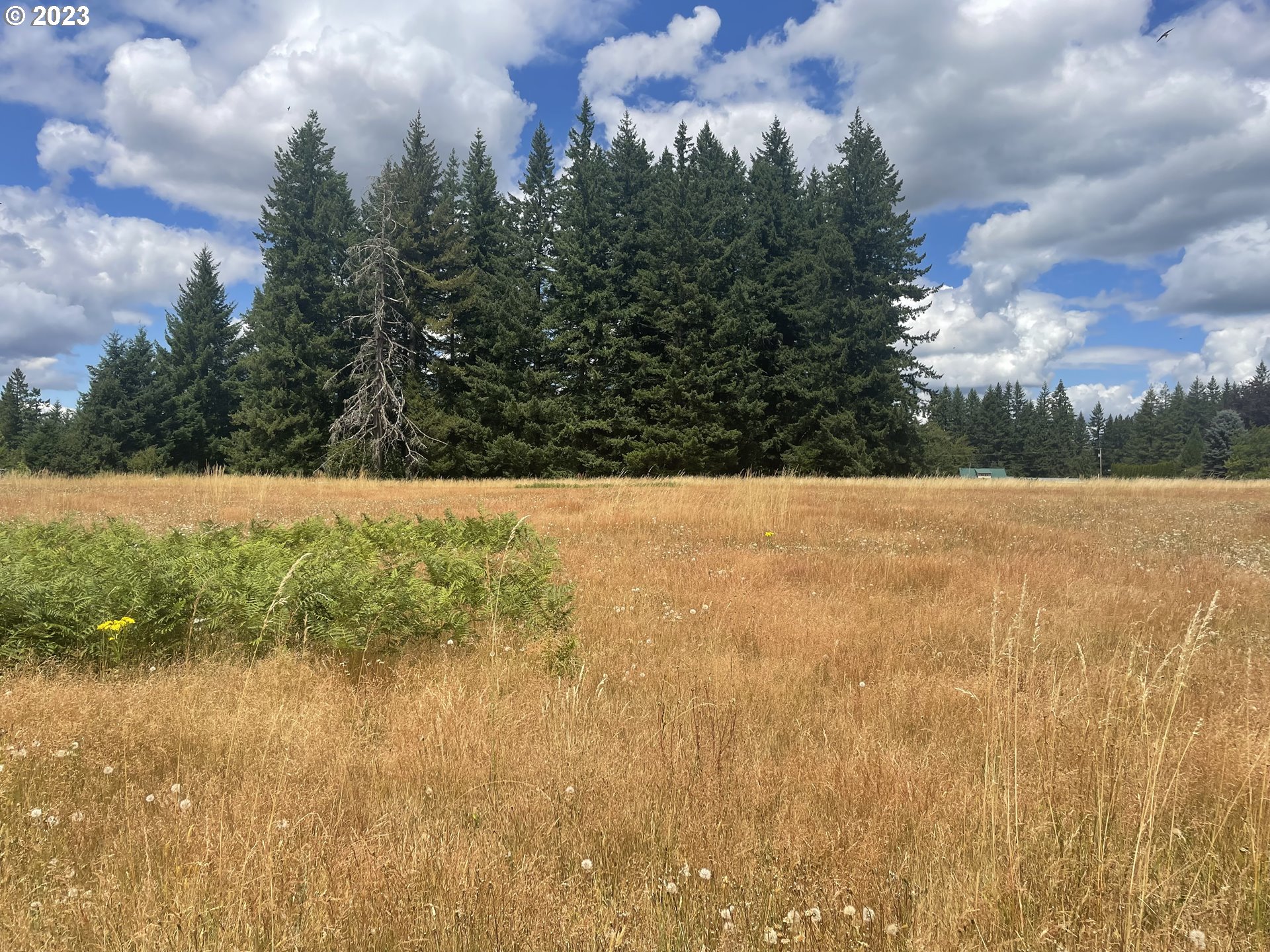 Allgeier Sandy, OR 97055 - Photo 6 of 15 a view of back yard of the house