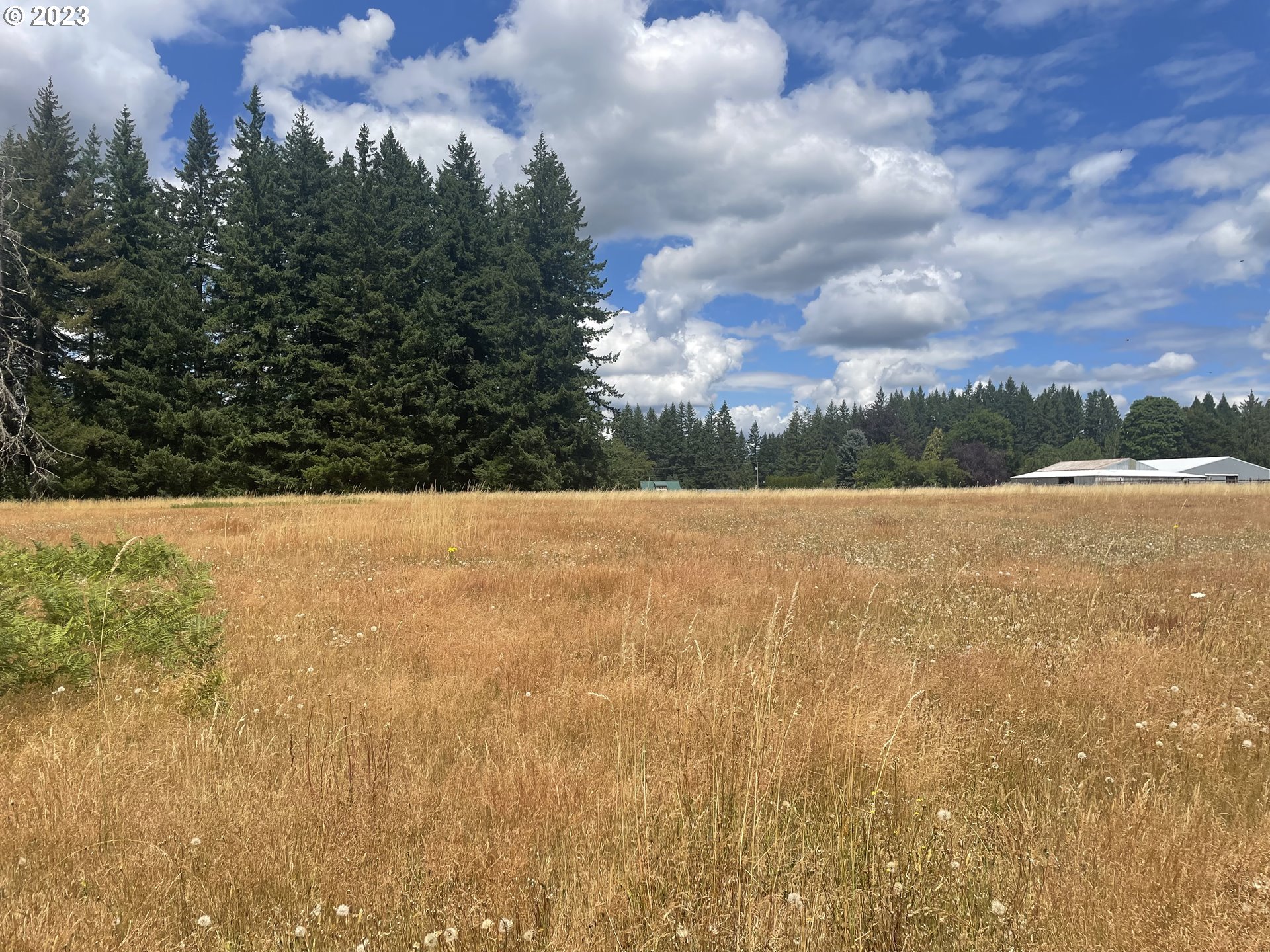 Allgeier Sandy, OR 97055 - Photo 7 of 15