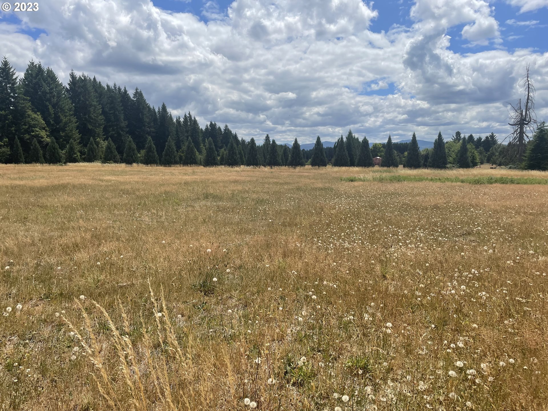 Allgeier Sandy, OR 97055 - Photo 9 of 15 a view of lake view and mountain