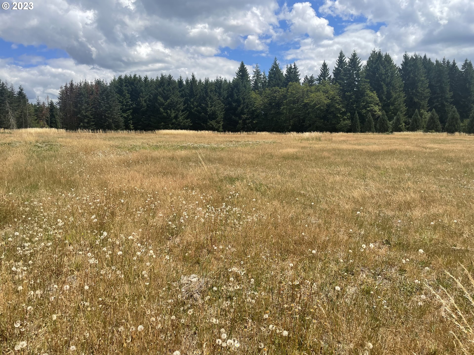 Allgeier Sandy, OR 97055 - Photo 10 of 15 a view of outdoor space and yard