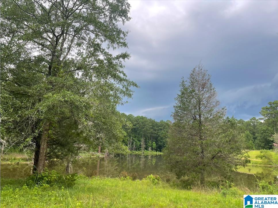 9 Acres, Unit 9 Sterrett, AL 35147 - Photo 2 of 8