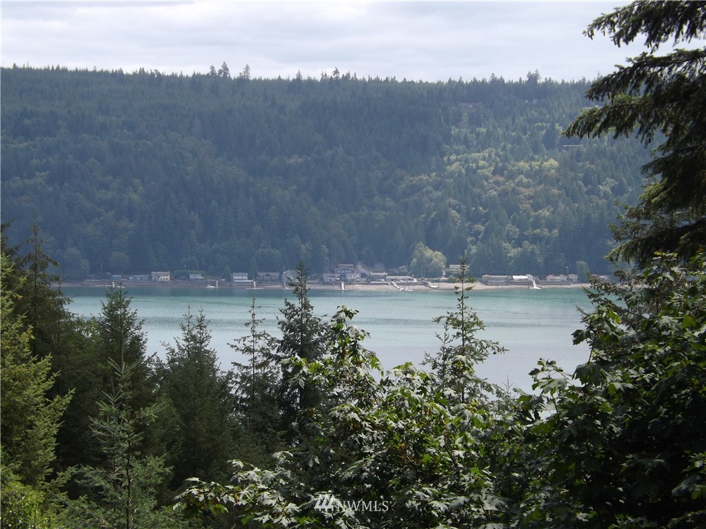 74 Northeast Hurd Road Belfair, WA 98528 - Photo 3 of 19 Gallery Image 3