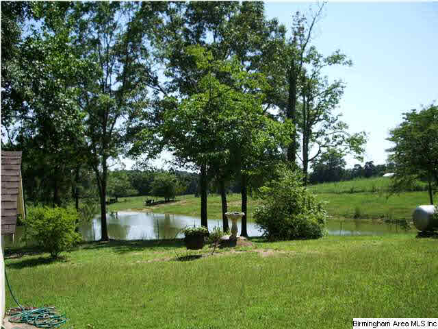 424 Jennings Road Sylacauga, AL 35151 - Photo 2 of 10