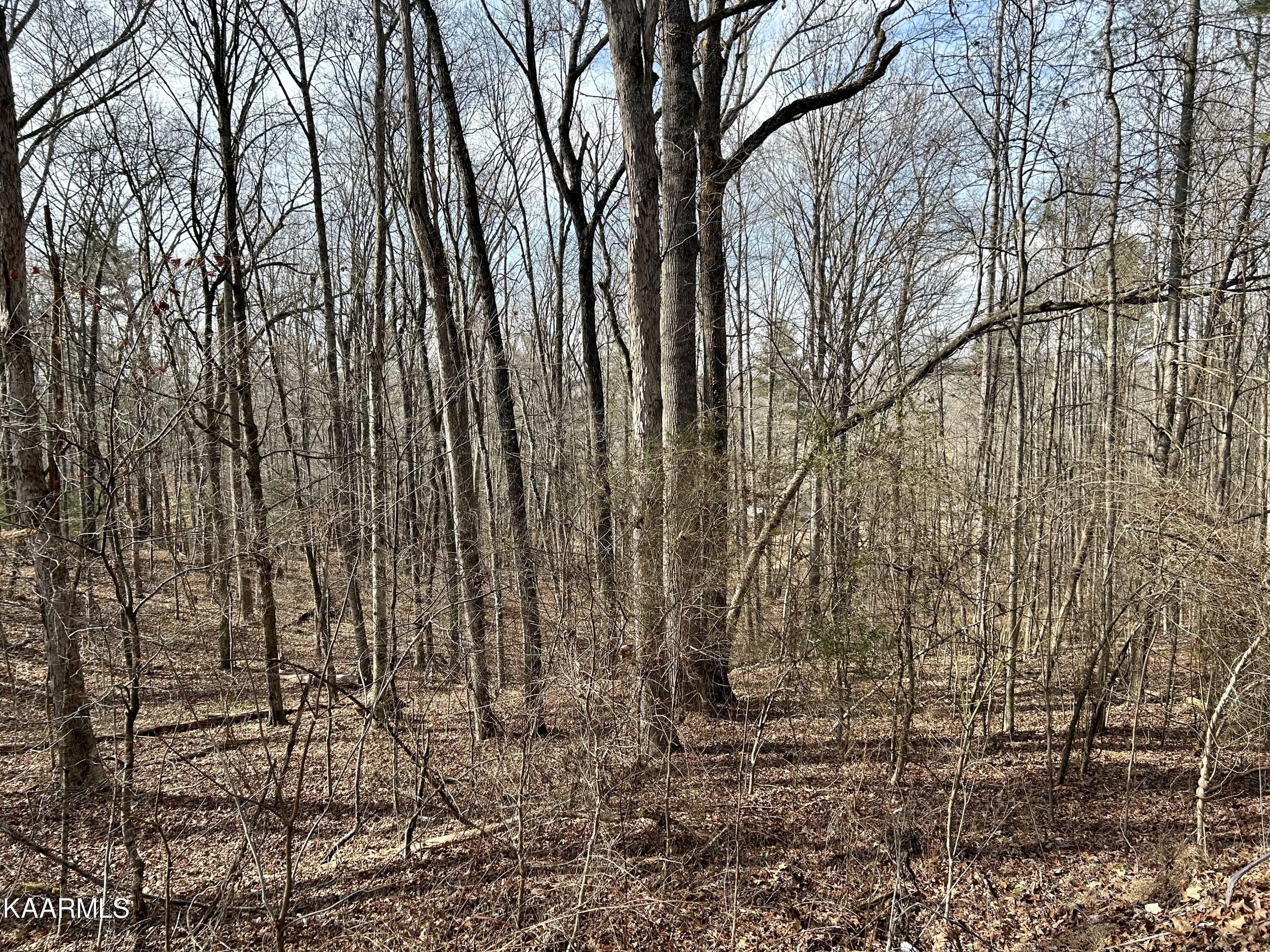 Ridge Road Kingston, TN 37763 - Photo 1 of 10 Ridge Rd