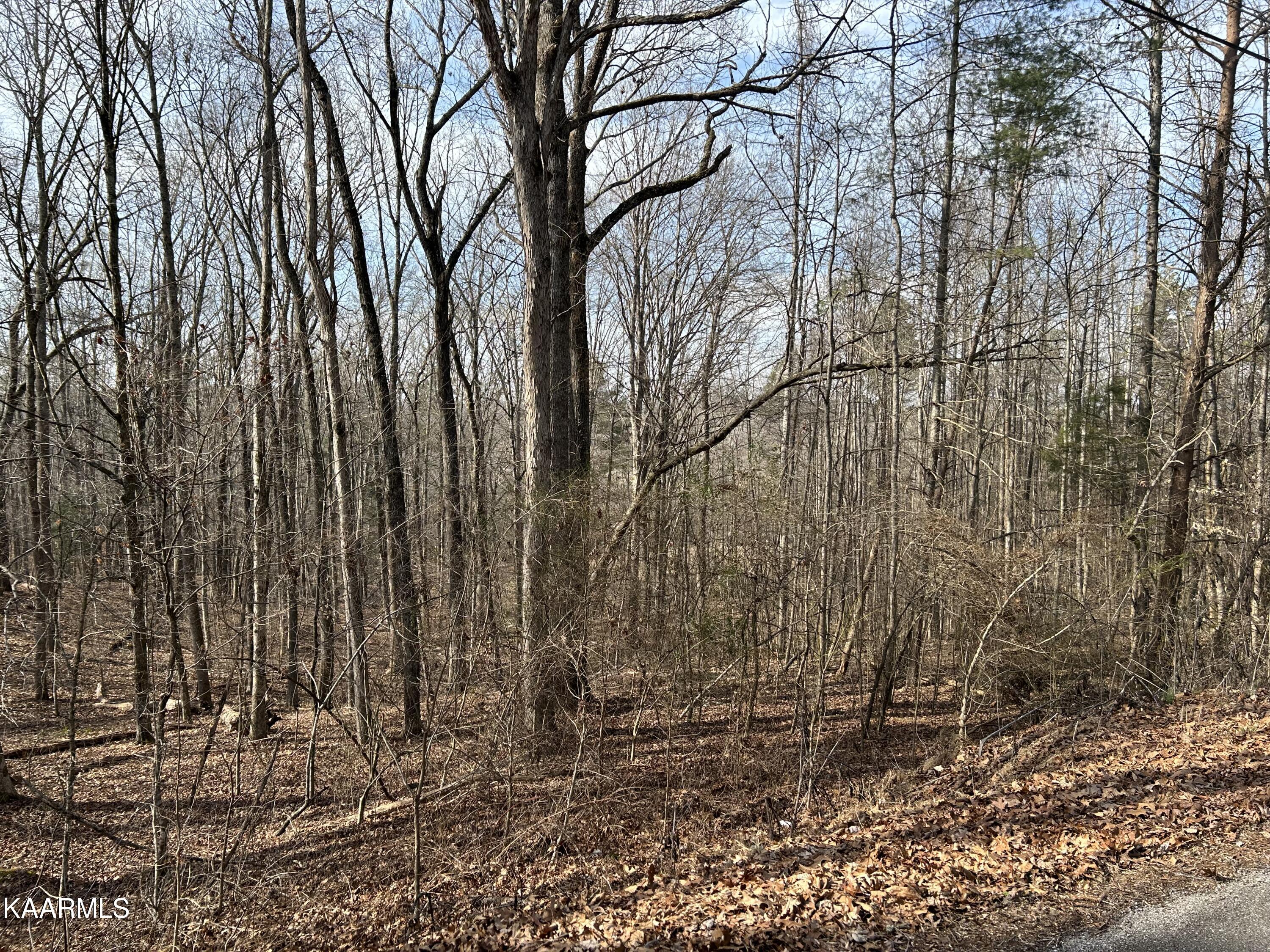 Ridge Road Kingston, TN 37763 - Photo 5 of 10 Ridge Rd