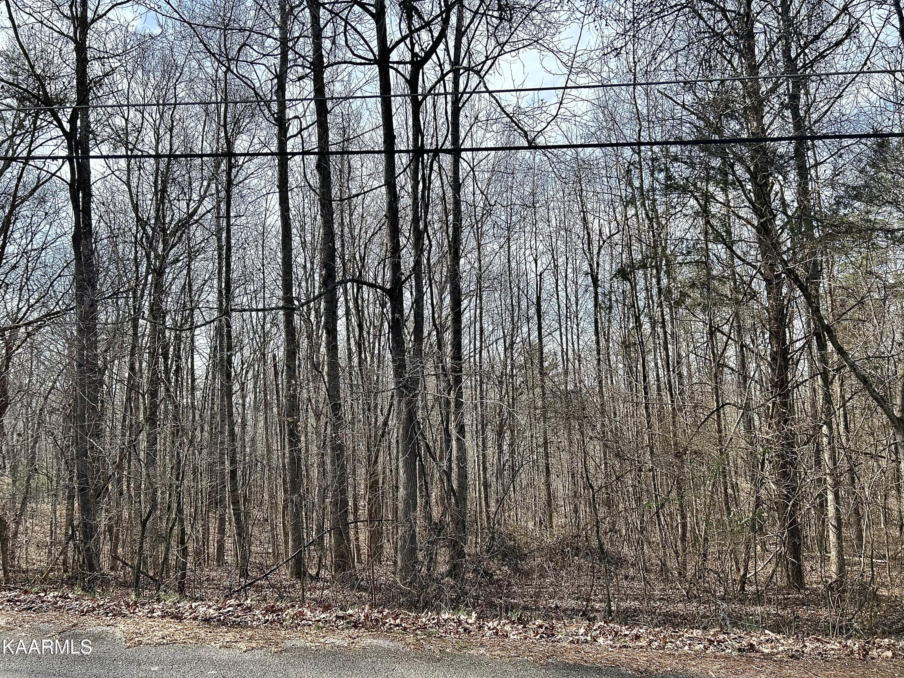 Ridge Road Kingston, TN 37763 - Photo 6 of 10 Ridge Rd