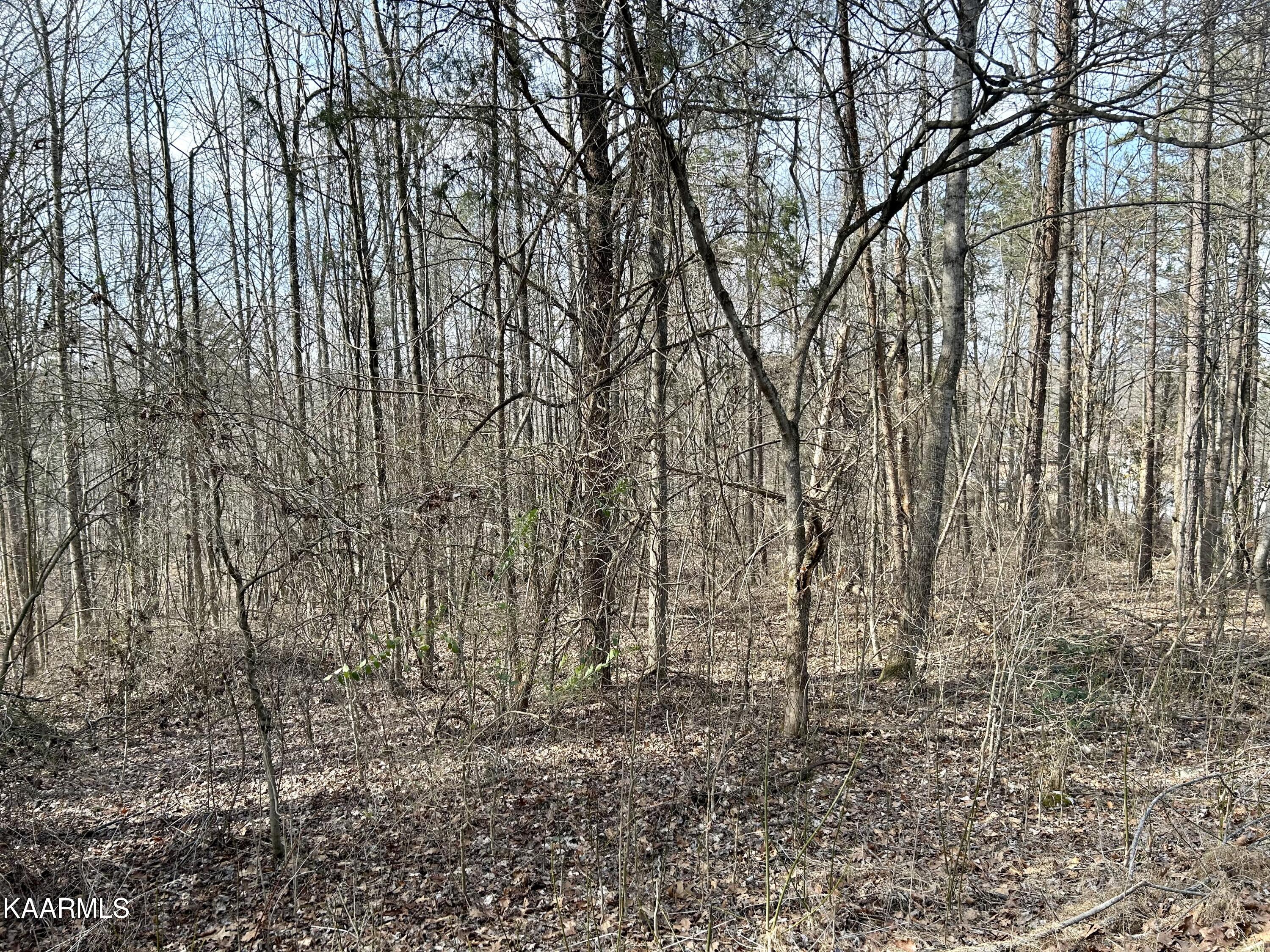 Ridge Road Kingston, TN 37763 - Photo 10 of 10 Ridge Rd