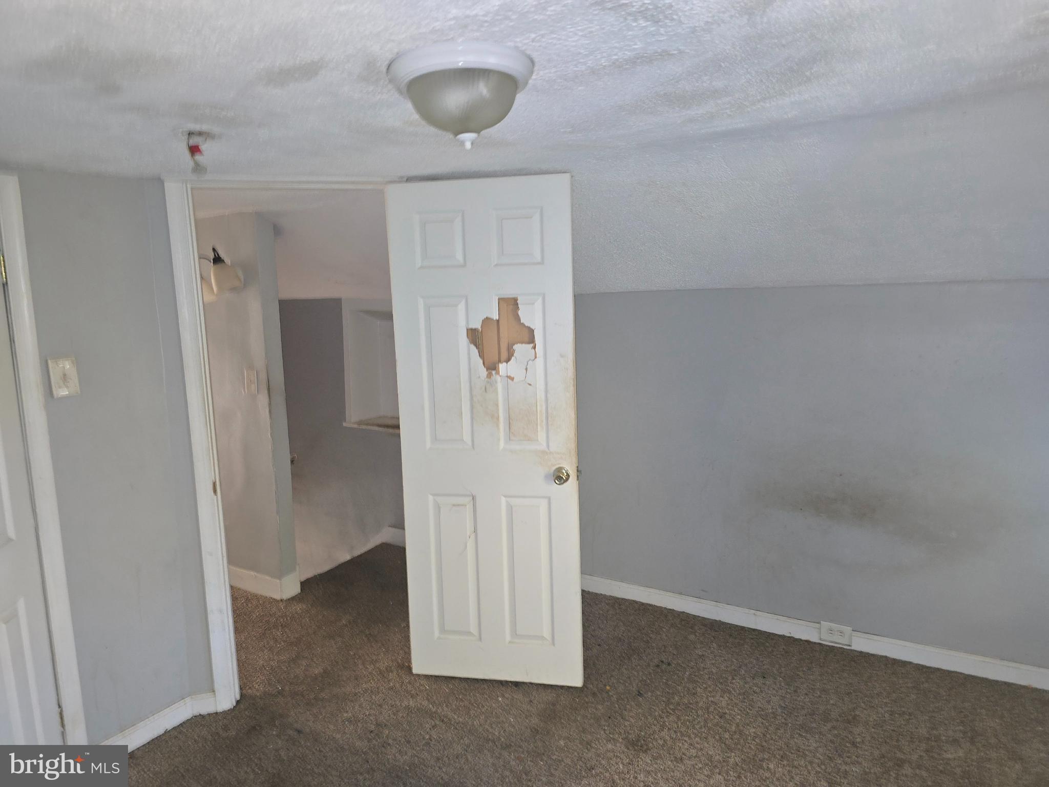 307 South Augusta Avenue Baltimore, MD 21229 - Photo 9 of 22