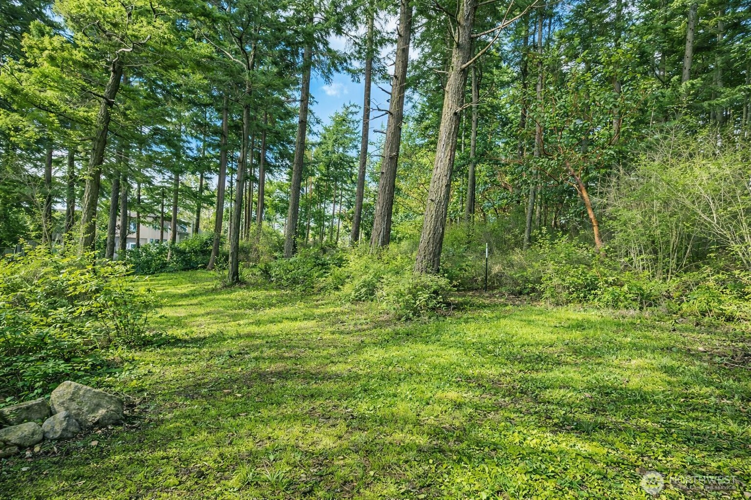 1012 North Scenic Heights Road Oak Harbor, WA 98277 - Photo 11 of 25 a view of outdoor space and green space
